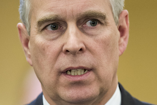 EPA  Britain's Prince Andrew the Duke of York, during the 45th Annual Meeting of the World Economic Forum, WEF, in Davos, Switzerland, 22 January 2015. Prince Andrew made his first public appearance following allegations of sex