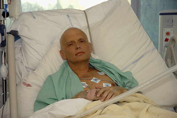  Russian spy Alexander Litvinenko was murdered after seeking political asylum in the UK