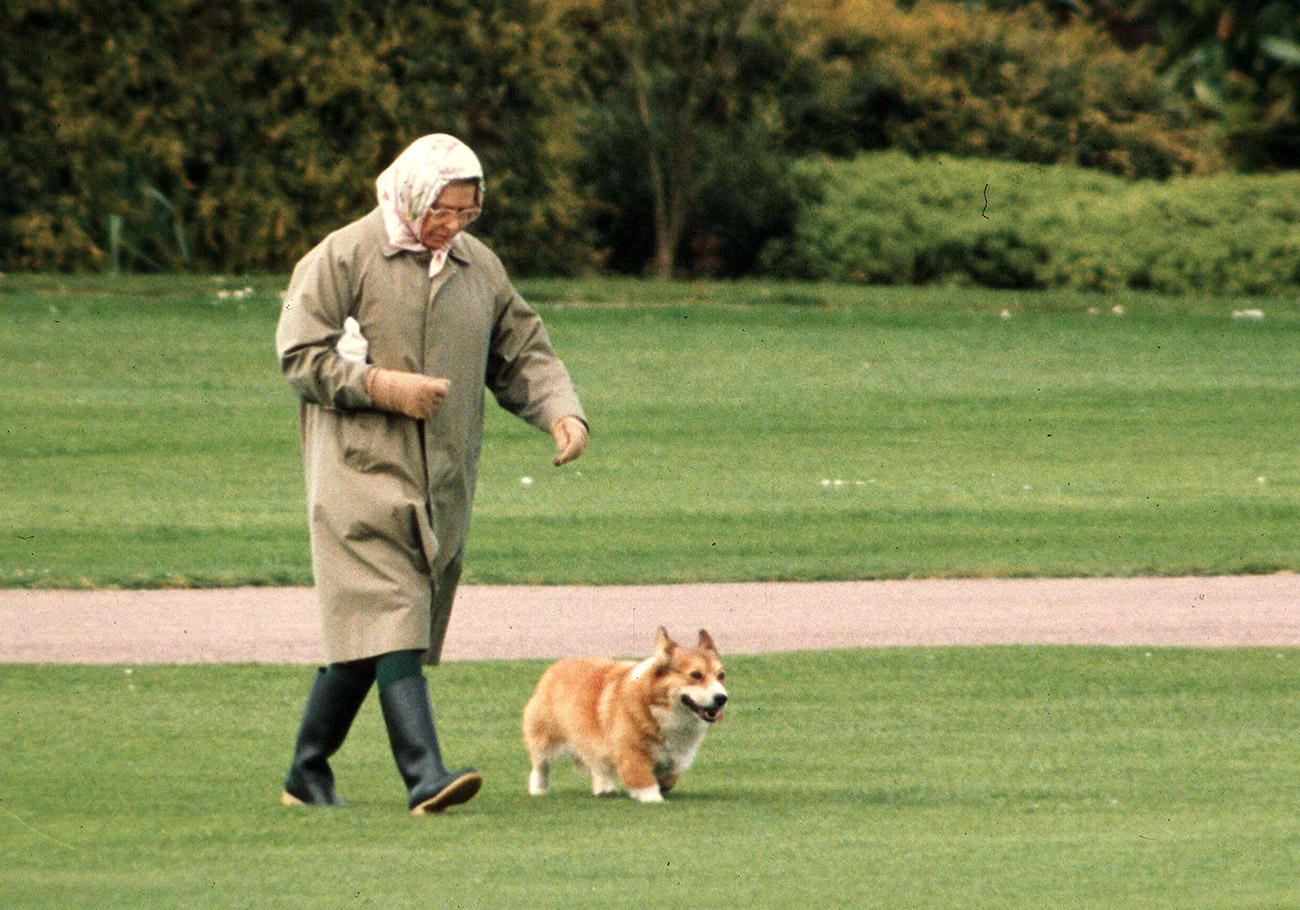 QUEEN ELIZABRTH II WALKING ONE OF HER CORGIS THE QUEEN, WINDSOR, BRITAIN - 1994