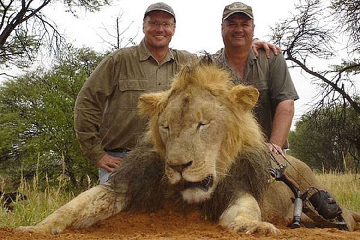 Proud ... Walter poses alongside dead lion