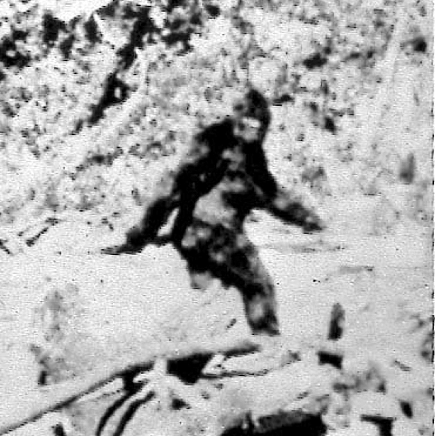 A famous Sasquatch sighting in California in 1967