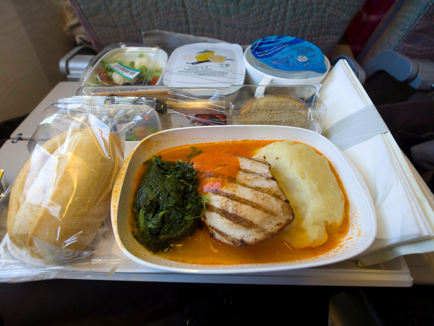 bad-plane-food-