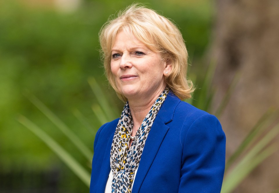  Anna Soubry... no longer Business Minister