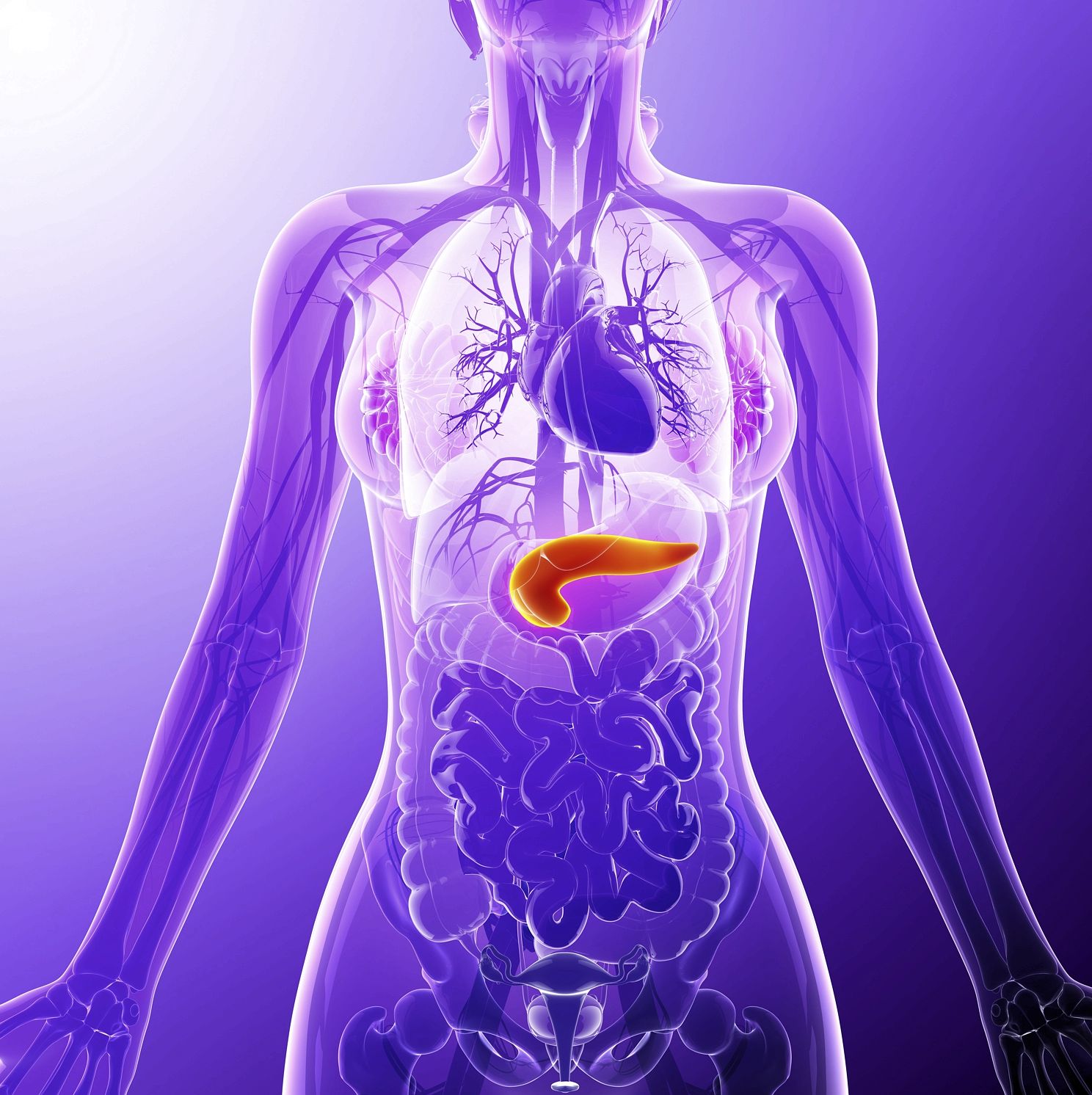 Pancreatic cancer receives just one per cent of cancer funding