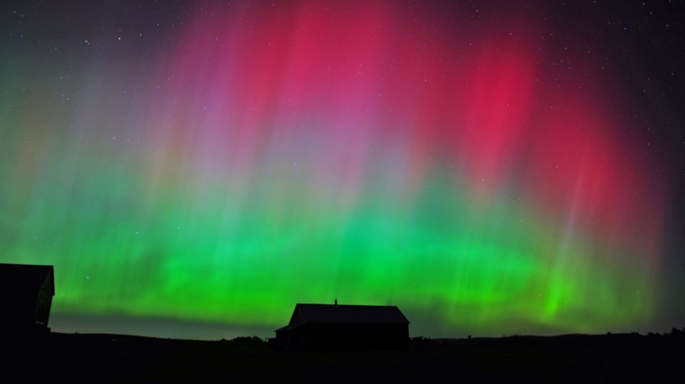 The light show above an Amish Farm at around 02:00 am on Fuller Road in Easton, Maine. LUMINESCENT green light silhouettes a young Amish man's cart and horse in breathtaking pictures of the Northern Lights. 