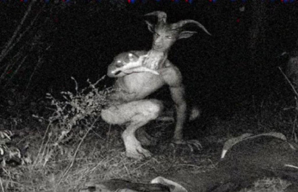 You've goat to be kidding me... an artist's impression of the urban-legend