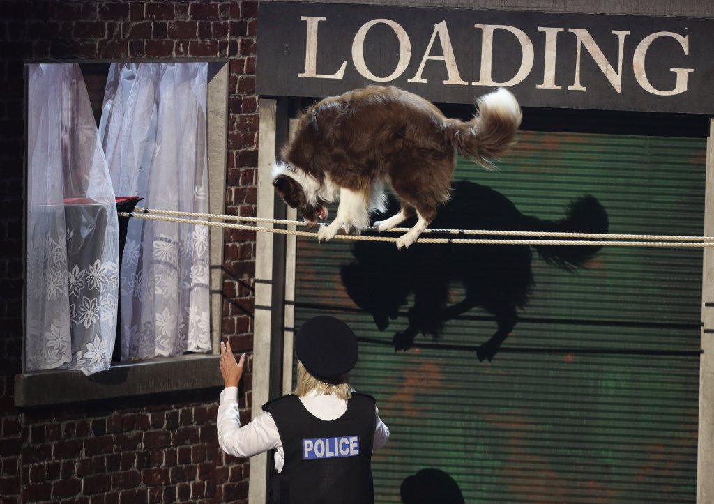  Doggy double ... Jules O'Dwyer and Matisse look-alike during the BGT-winning performance