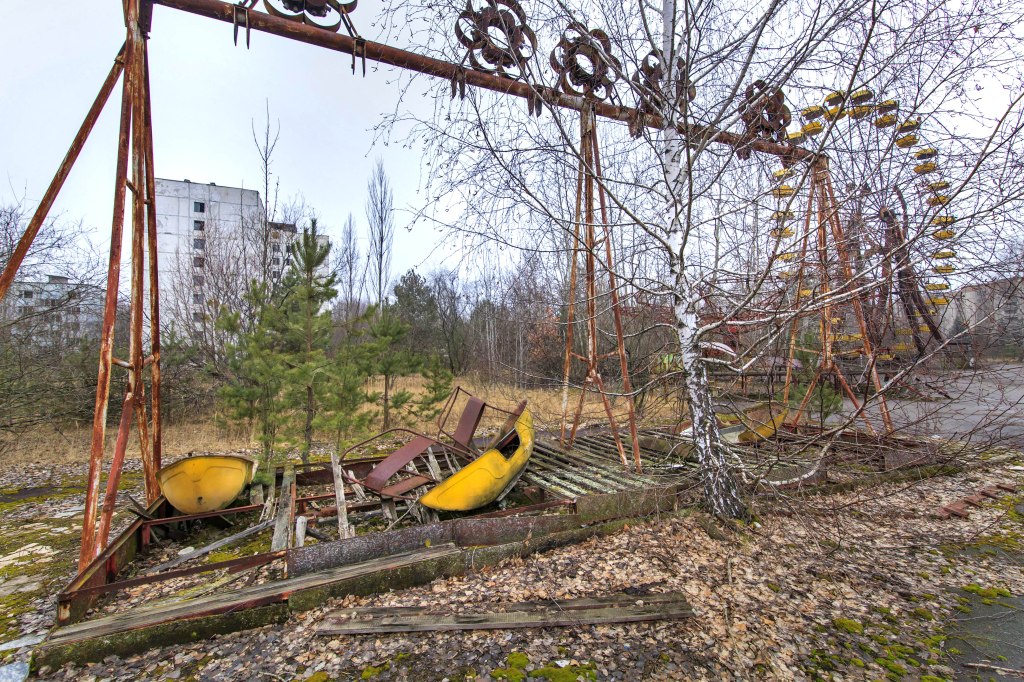 Overgrown trees and cracked concrete are what's left in the park