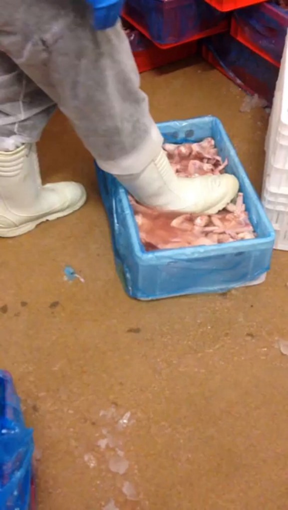 A worker in a Polish factory puts his white boot into a tray of chicken wings