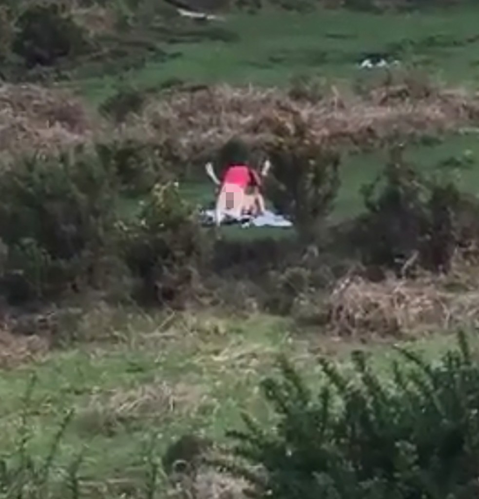 A passing motorist stopped and spotted the couple rutting in the woodland