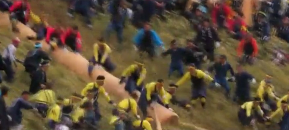  Incredible footage shows the Japanese men speeding down a steep hill straddling thick tree trunks