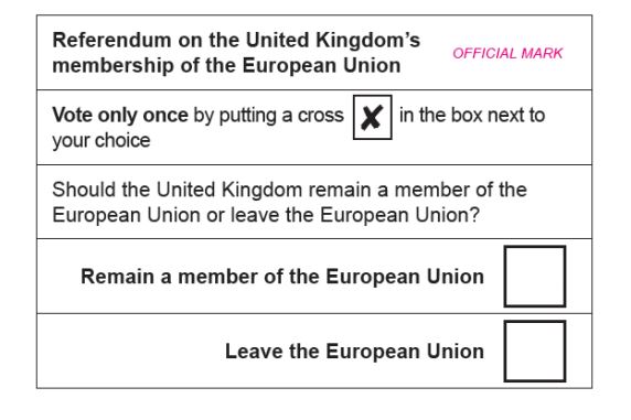  On June 23 voters go to the polls in the EU referendum