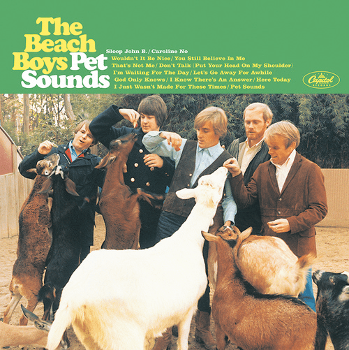  The iconic Pet Sounds album