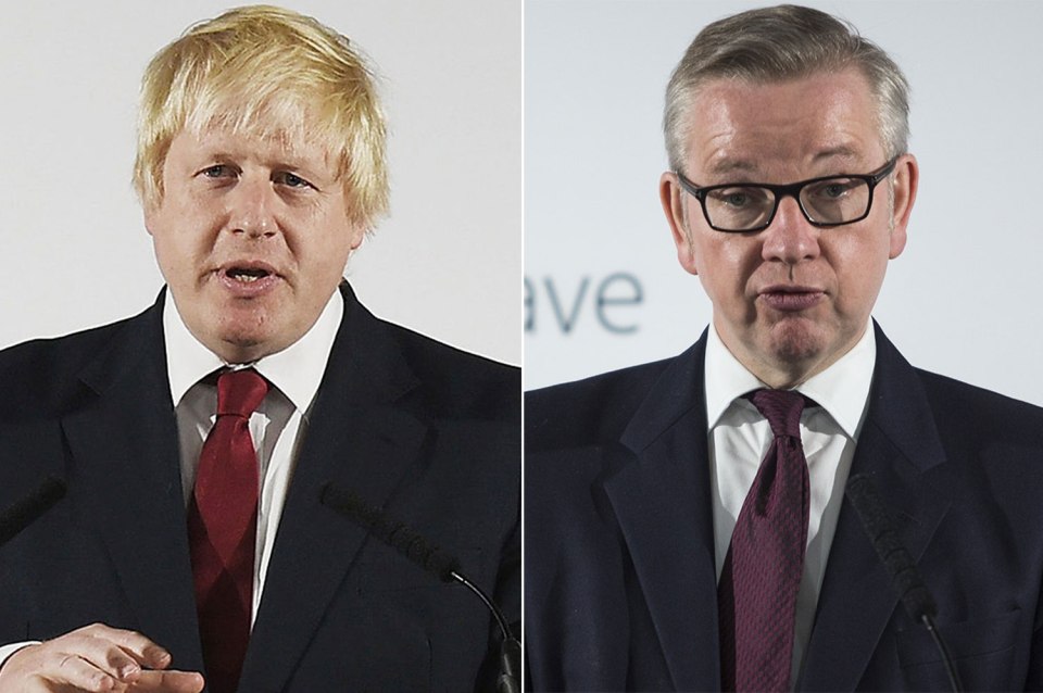  Johnson and Gove will now compete for the leadership