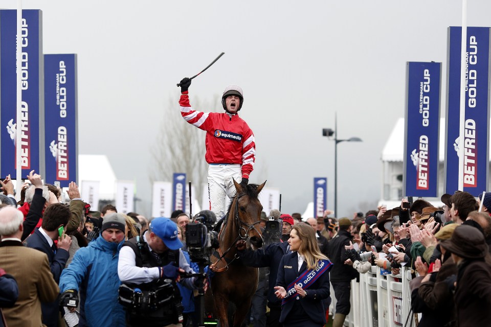  Nico de Boinville and Coneygree won the Cheltenham Gold Cup in 2015