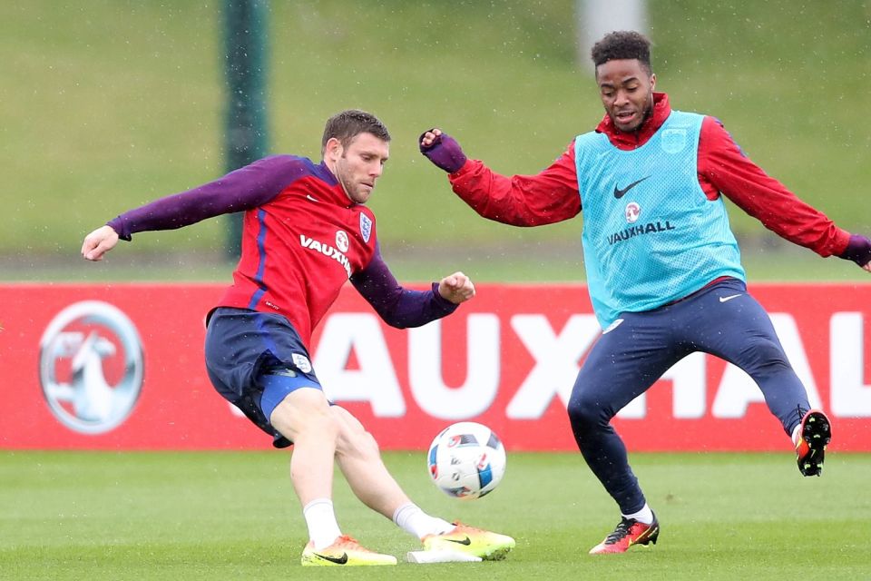 Milner is a favourite of Roy Hodgson