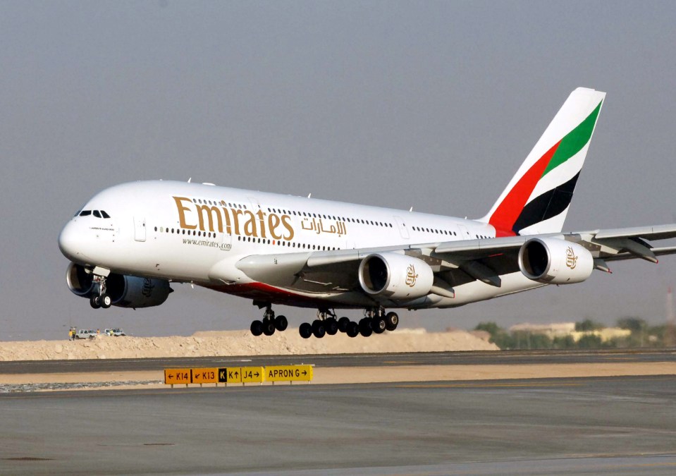 A medical team rushed to meet the Emirates flight but the man died