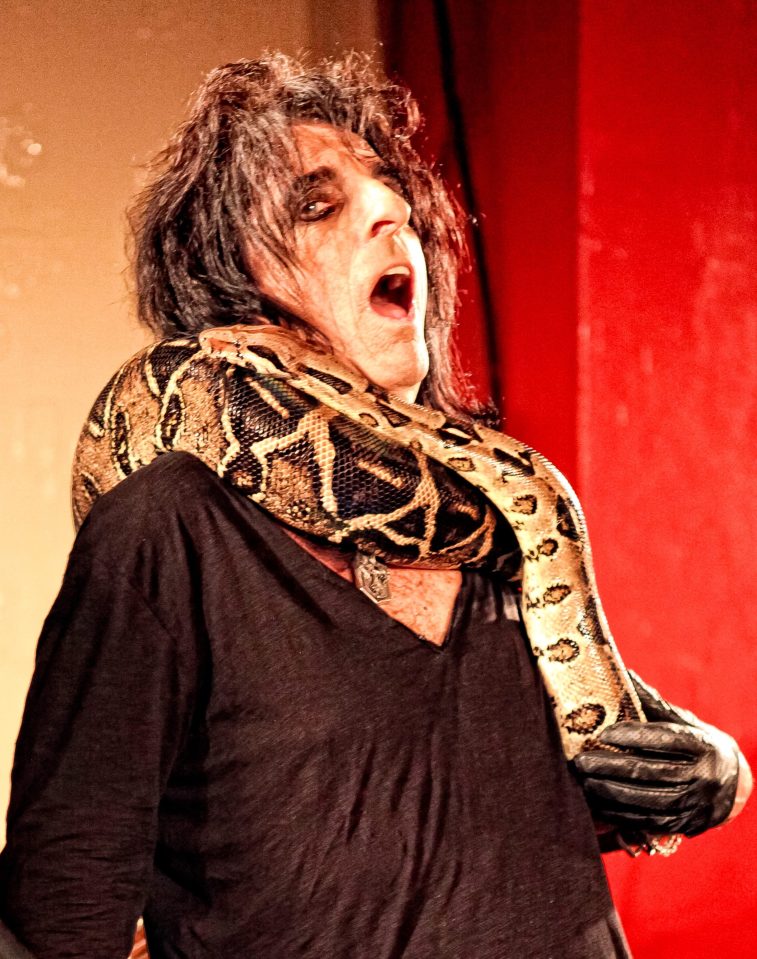  Alice Cooper is known for having an interest in the paranormal and often uses horror props at gigs