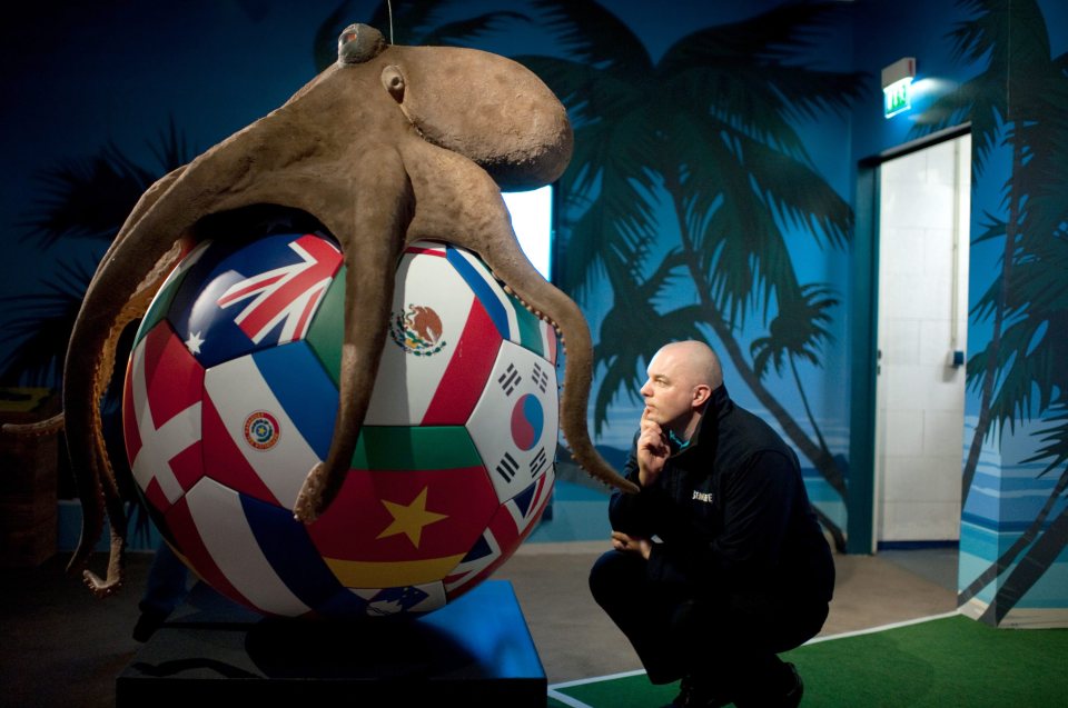 The late Paul The Octopus blew peoples minds during Euro 2008 and Euro 2010 with his predcitions