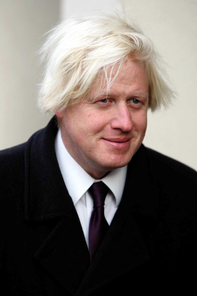 Boris Johnson hair