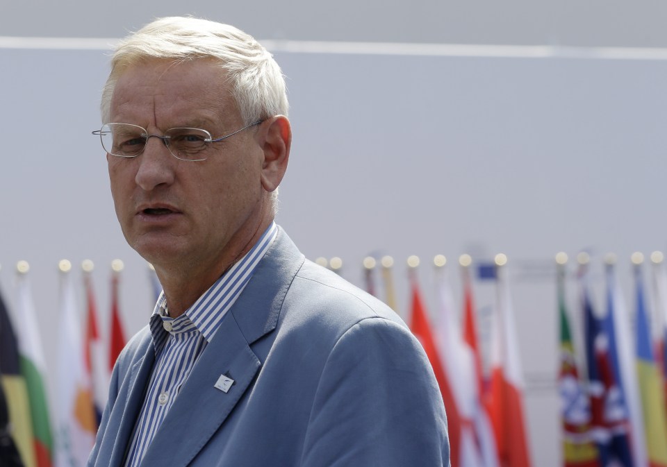  Swedish Foreign Minister Carl Bildt 