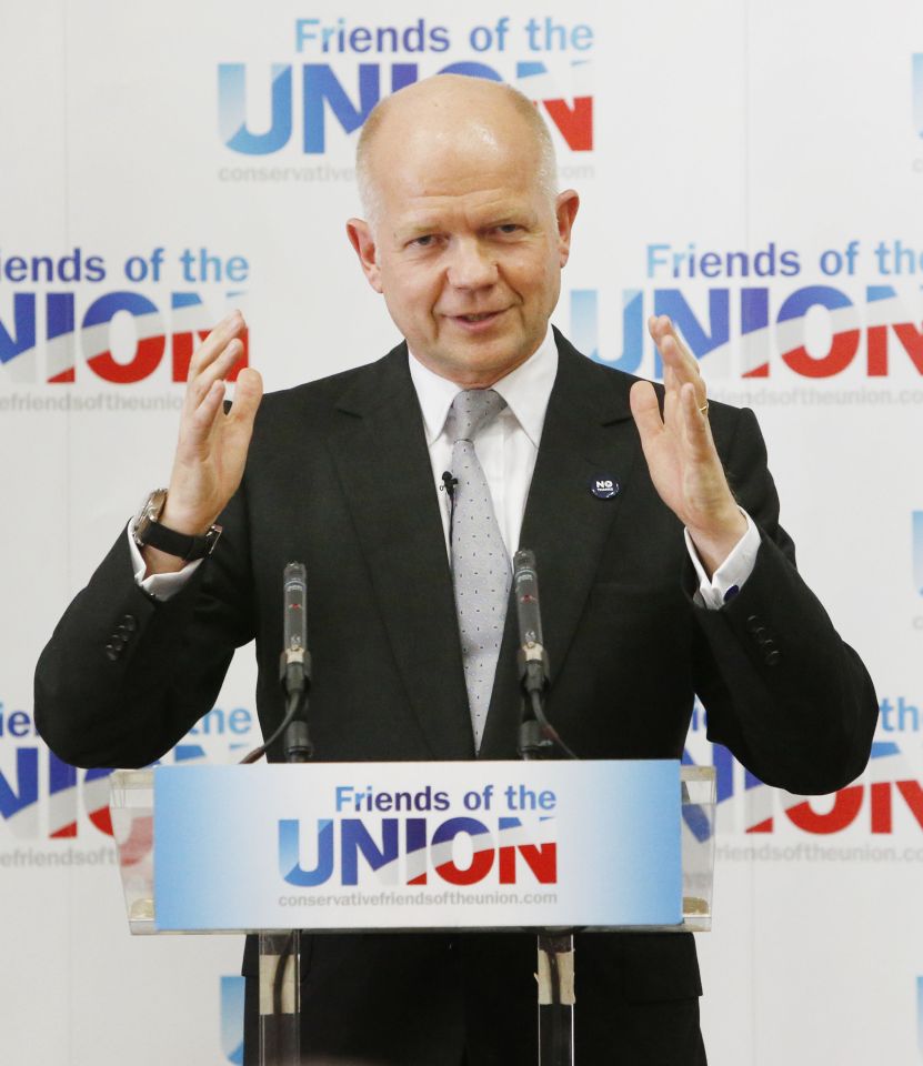 William Hague EU referendum