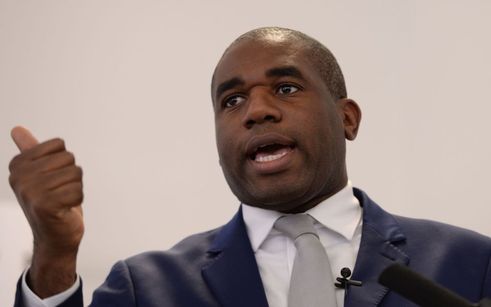  Speaking during a parliamentary debate Tottenham MP David Lammy says Britain has an 'armchair approach to aid'