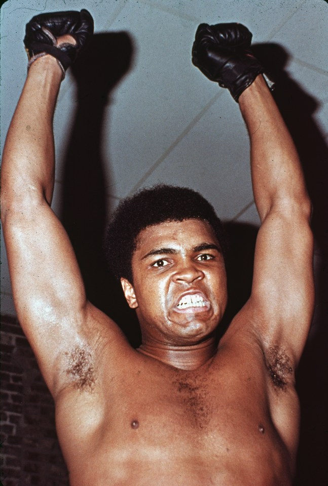 Cassius Clay 