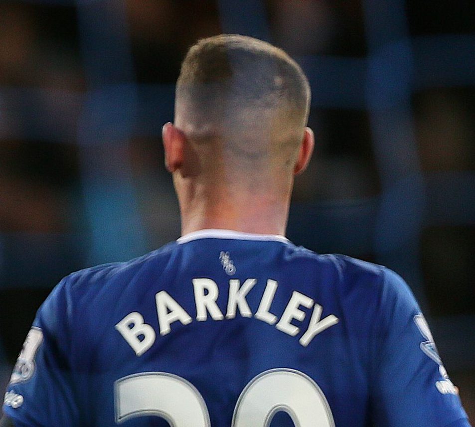  Put your neck out ... Ross Barkley