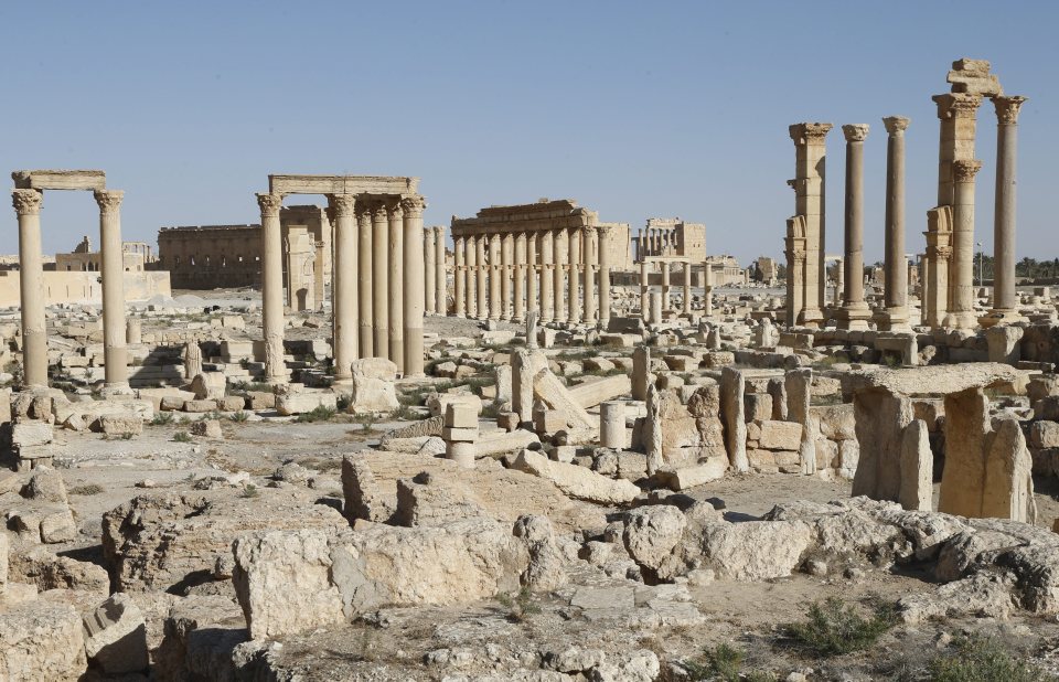 Palmyra