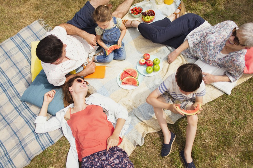 Overhead view multi-generation family enjoying summer picnic