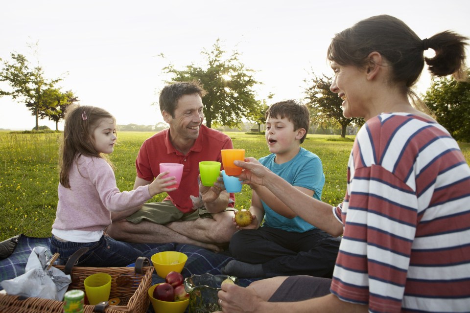 When it comes to other picnic annoyances, 43 per cent of park-goers have planted their behinds on a patch of wet grass