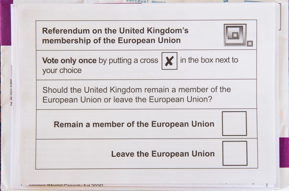  MPs have suggested they may keep Britain in the Single Market even if voters back Brexit