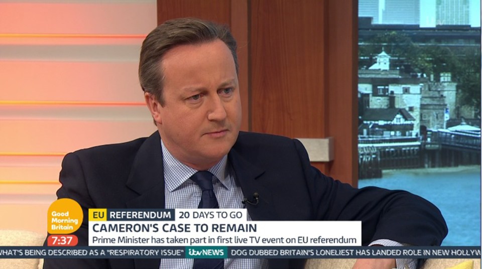  The Prime Minister pushed the case for Remain during an interview about the EU referendum on Good Morning Britain earlier today and snapped at Kate Garraway