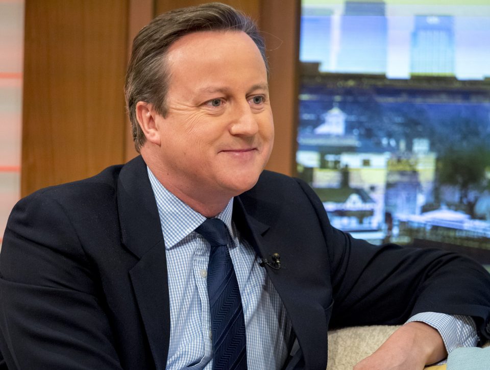  Unconvincing ... Audience gave David Cameron a hard time during live debate