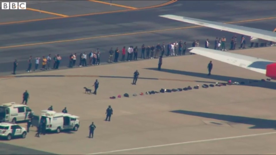  Luggage was removed from the plane and place on the tarmac as sniffer dogs investigated