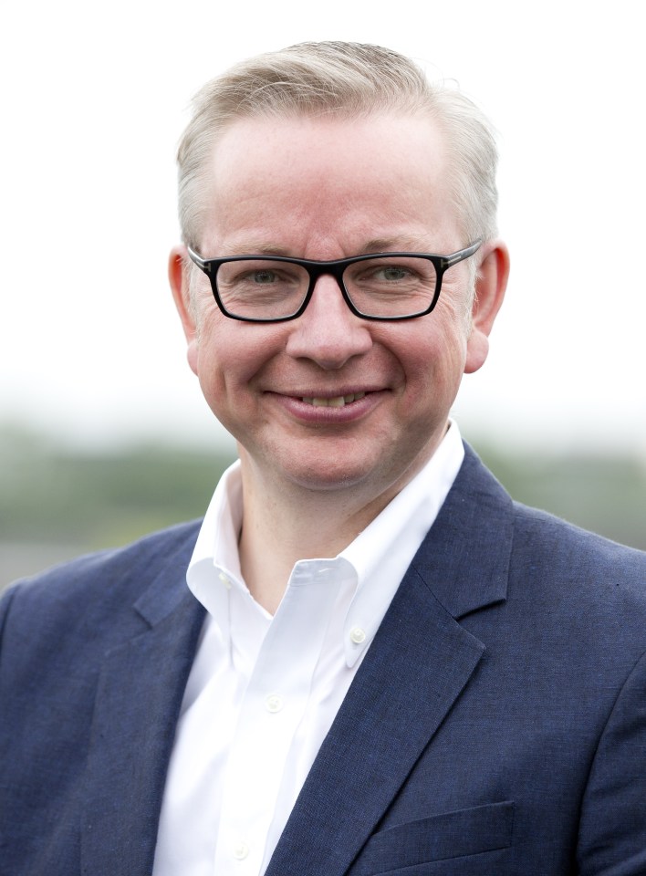 Michael Gove