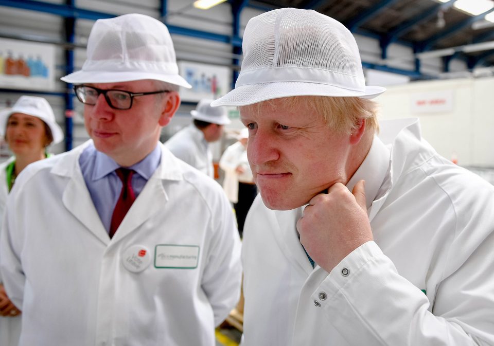 Boris Johnson, Michael Gove