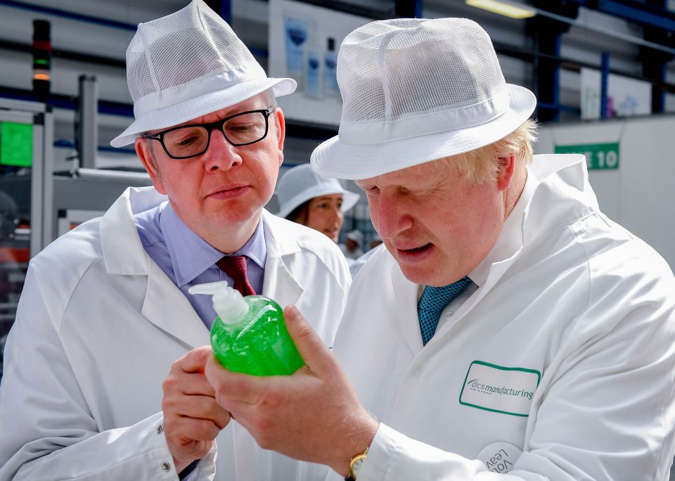  Boris Johnson, along with Michael Gove, is one of the leafing pro-Brexit campaigners