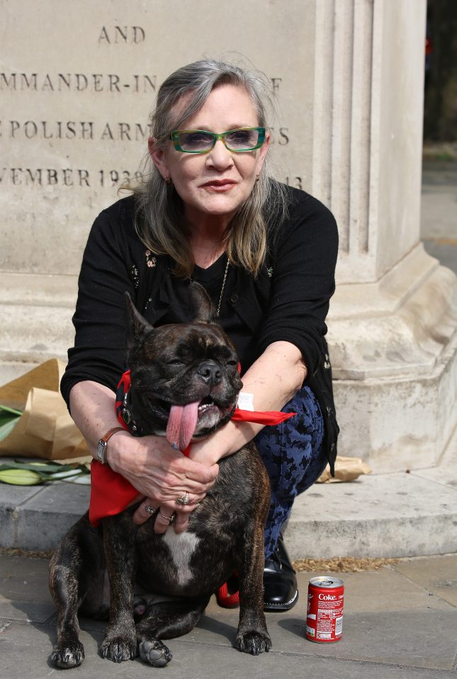 Carrie pictured with her beloved dog Gary, who "hasn't spoken a word" since she told him about the horrific festival