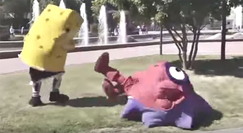 Spongebob hedgehog fight