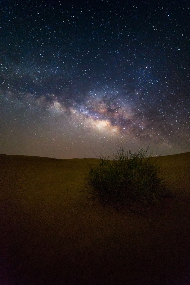 The Milky Way is just one of many galaxies that make up the universe