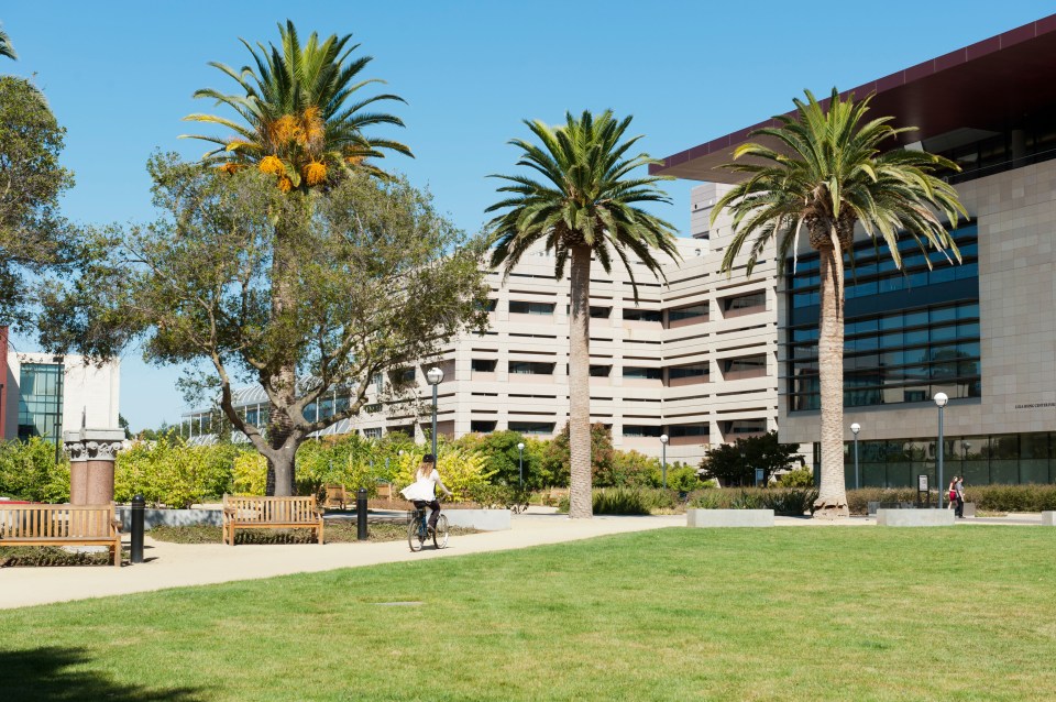  The attack at Stanford University was interrupted by two passers-by on bicycles who the woman called ‘heroes’