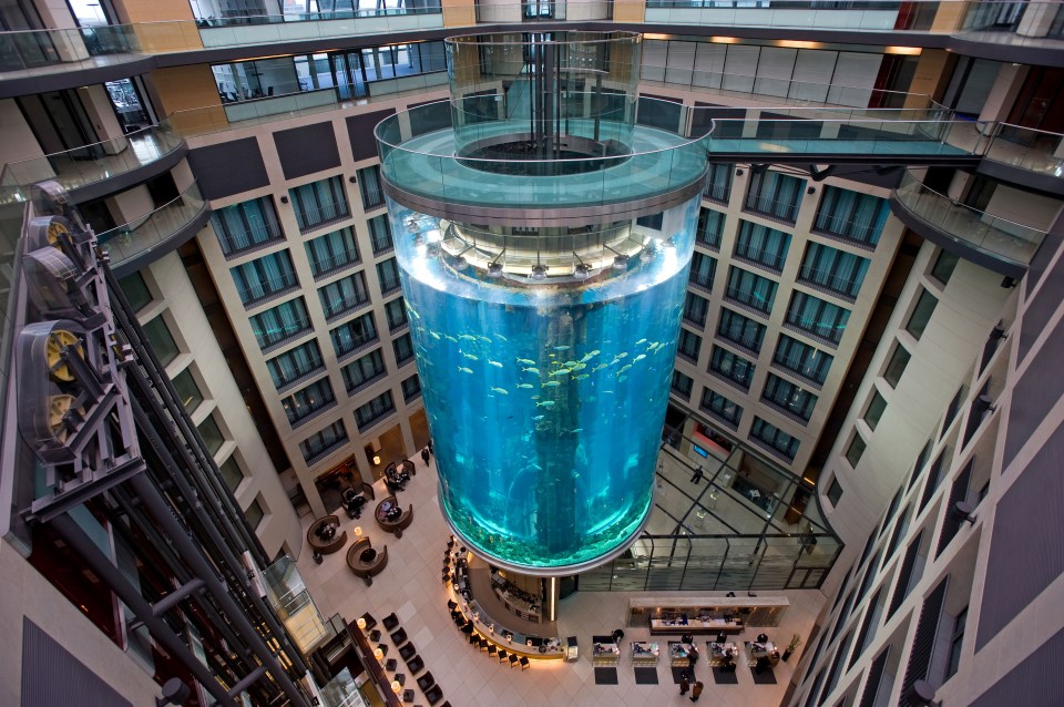  Tourists can get up close and personal to 1,500 fish