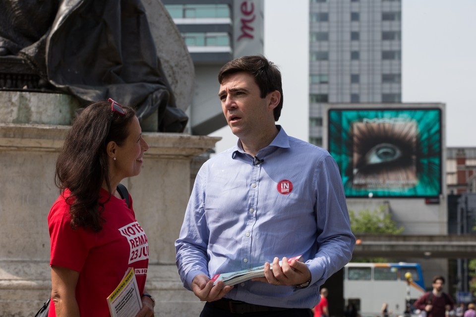  Andy Burnham, pictured on the campaign trail in Manchester, fears Britain will be divided if it leaves the EU