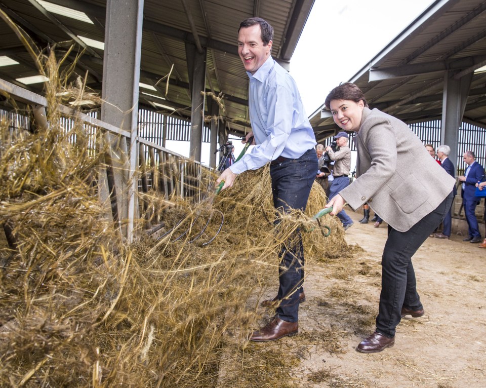  George Osborne and Ruth Davidson enjoy a visit to Stagehall Farm in Stow