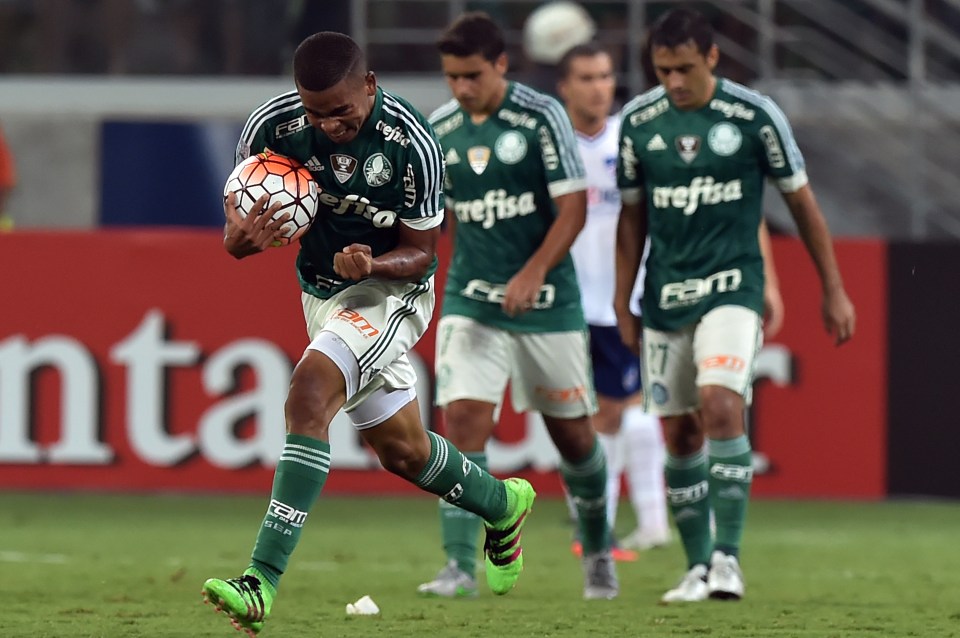  Palmeiras striker Gabriel Jesus is one of the hottest young properties in world football with Man City, Barcelona and Juventus placing bids