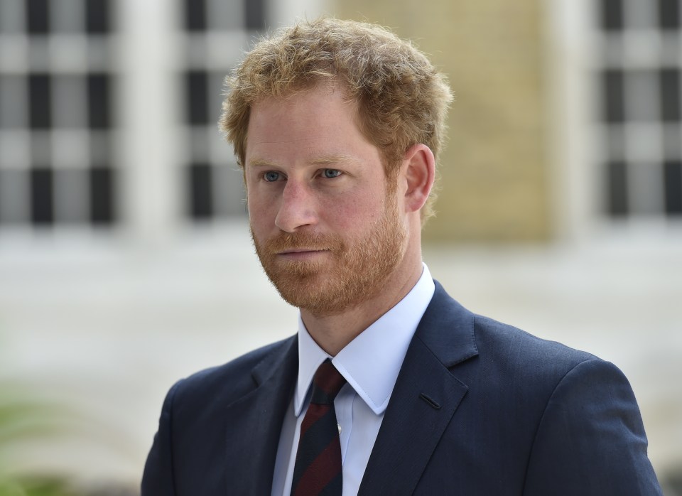  Royal hottie ... Prince Harry was said not to have taken the mix up well