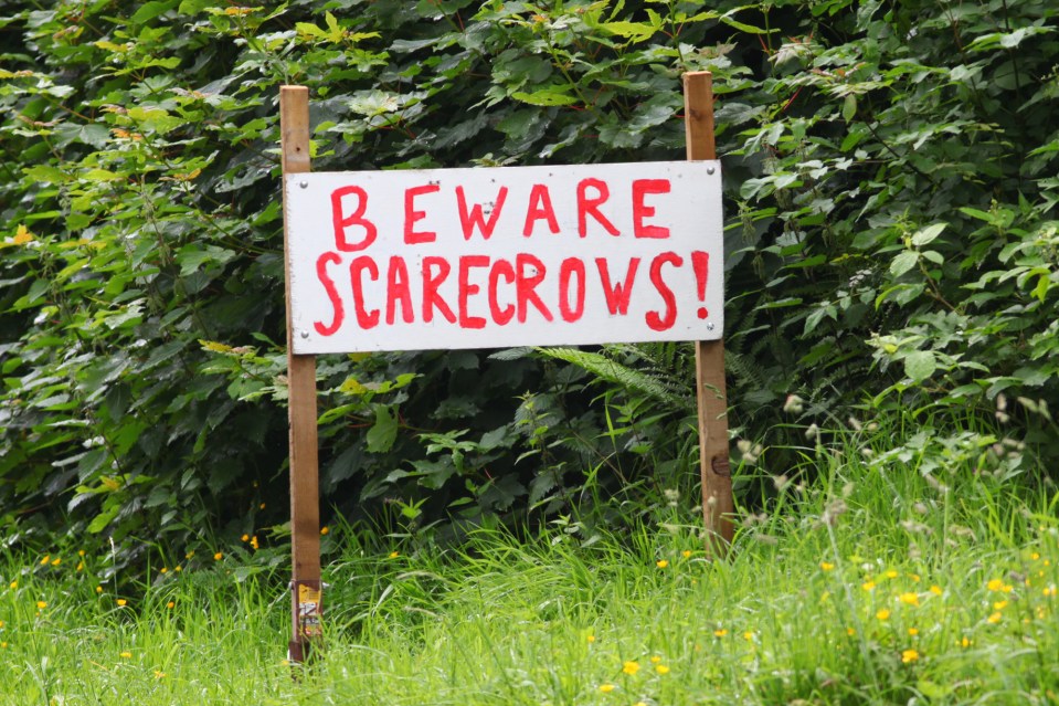  Scarecrow competitions are very common in Devon