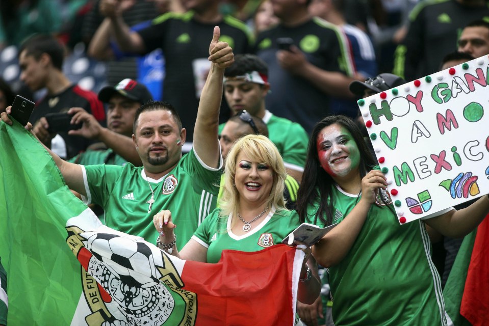 Jun 13, 2016; Houston, TX, USA; Fans cheer before a match between Venezuela and Mexico during the group play stage of the 2016 Copa America Centenario at NRG Stadium. Mandatory Credit: Troy Taormina-USA TODAY Sports